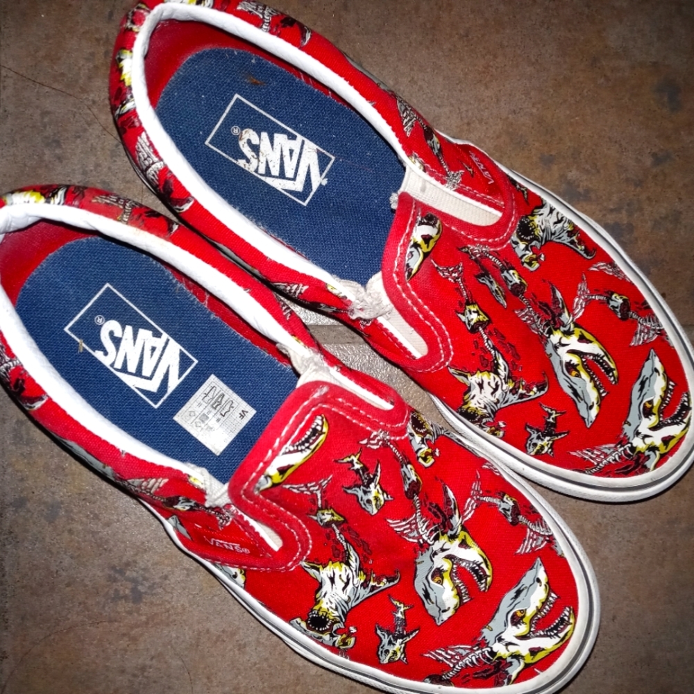 Boys slip on Vans